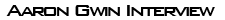 Aaron Gwin Interview